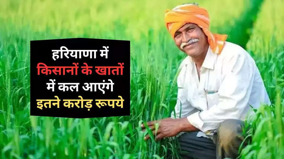 Haryana Farmers :।