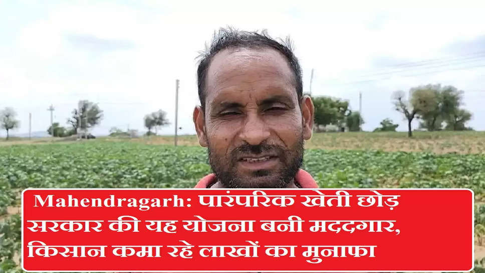  Mahendragarh: पारंपरिक खेती छोड़ सरकार की यह योजना बनी मददगार, किसान कमा रहे लाखों का मुनाफा