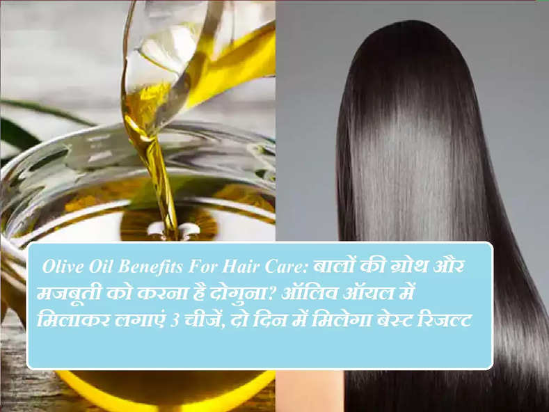  Olive Oil Benefits For Hair Care: बालों की ग्रोथ और मजबूती को करना है दोगुना? ऑलिव ऑयल में मिलाकर लगाएं 3 चीजें, दो दिन में मिलेगा बेस्ट रिजल्ट