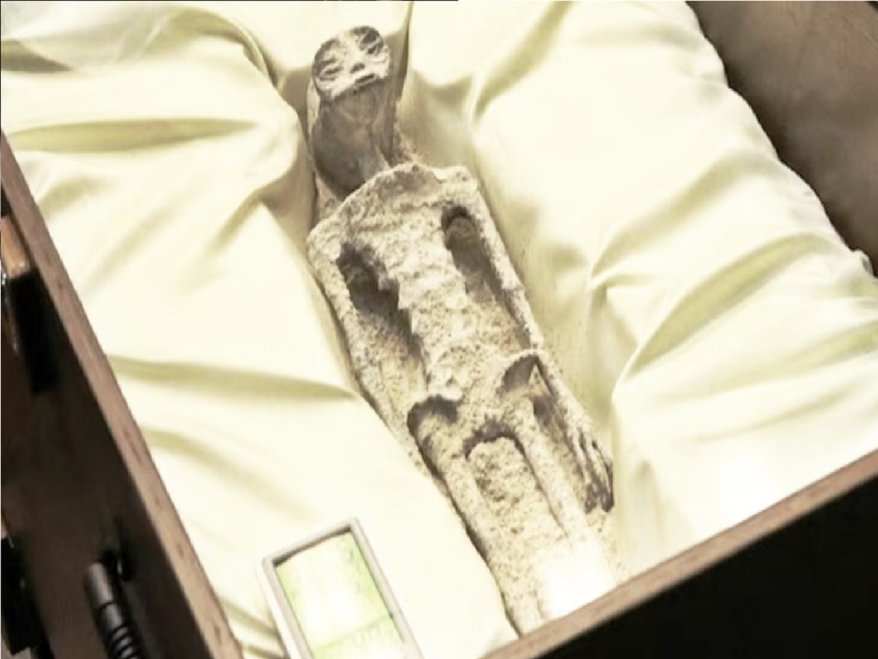 हाथों में तीन उंगलियां, 1000 साल पुराने शव; इस देश की संसद में रखी गई 'एलियन' की लाश